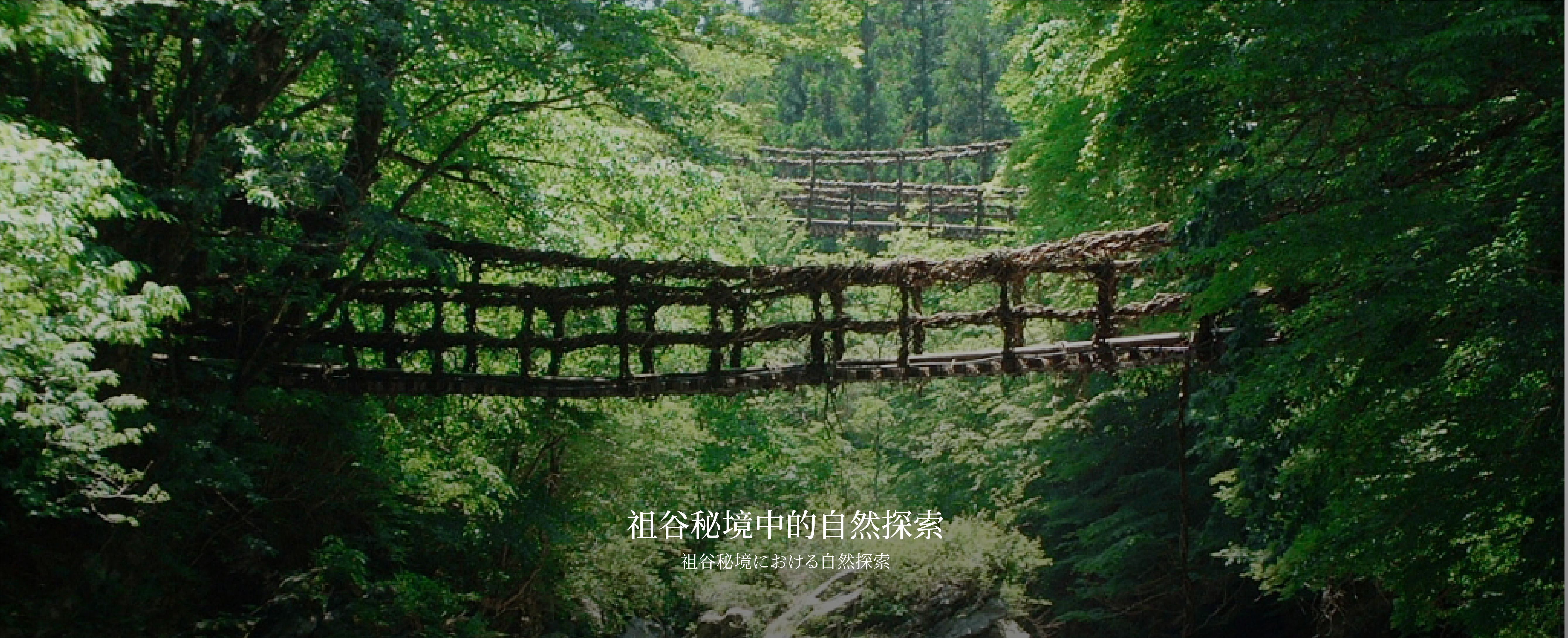 海风中失落的月下之城 特色 2